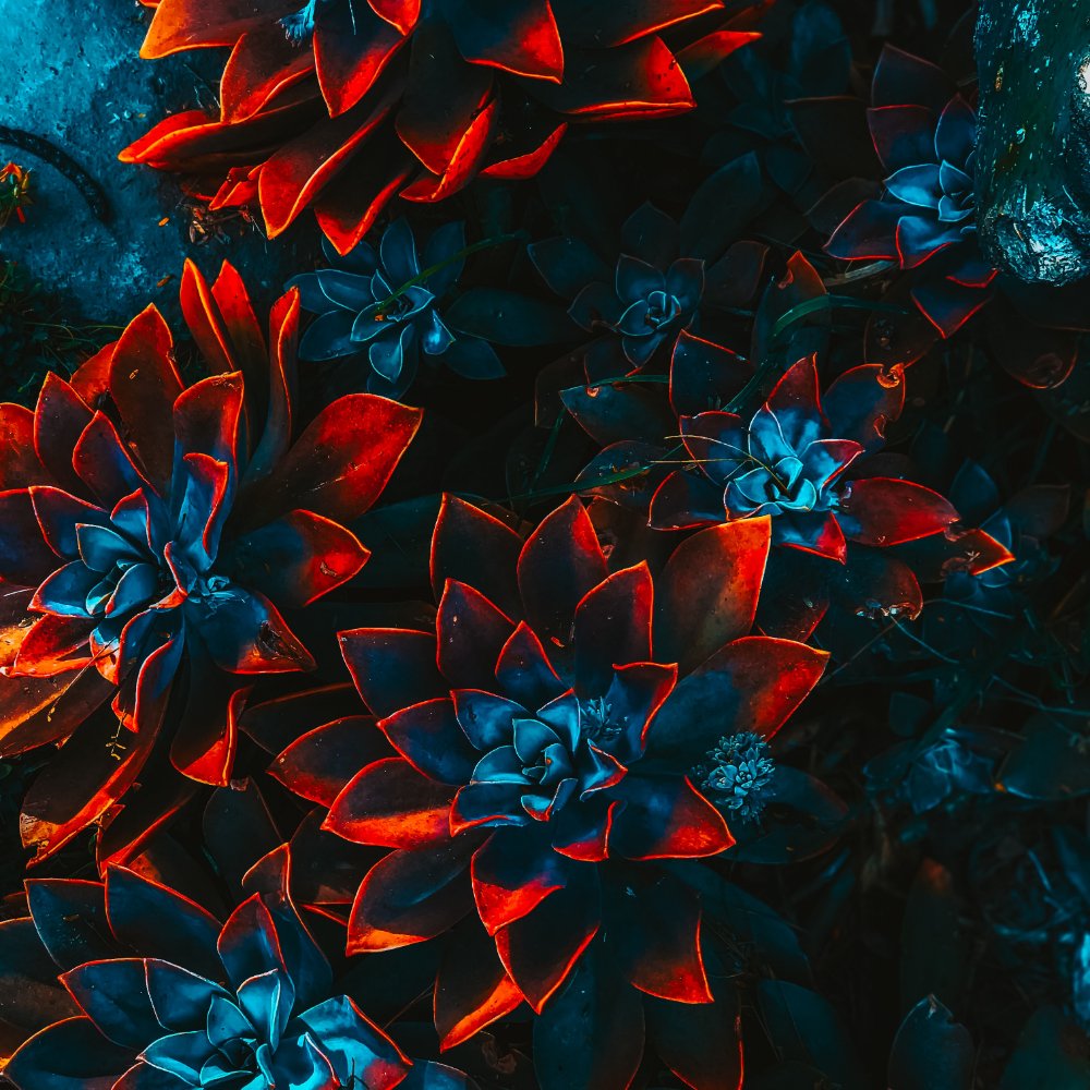 About Me freelance artist floral 4